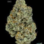 TWISTED LEAF GARDENS - GMO - AAAA+