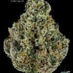 TRUFFLE CAKE #5 - AAAAA+