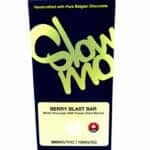 Slow Mo – Berry Blast Bar – 360MG THC