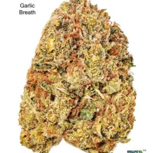 7GRAMS $25 - GARLIC BREATH - AAA+