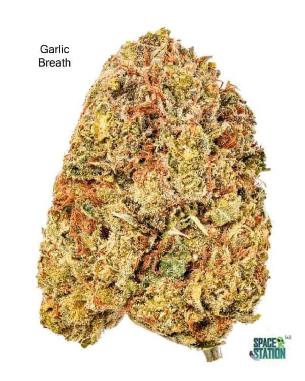 7GRAMS $25 - GARLIC BREATH - AAA+