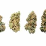 1 OUNCE $50 - MIXED BUDS