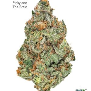 1 OUNCE $75 - 2 OUNCES $125 - PINKY & THE BRAIN - AA+