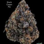 DOPPLER - SHERB CREAM PIE - AAAA