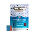 GROUNDED - 2000MG HIGH DOSE BRICKS - BERRY BONANZA