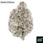 DOPPLER - DANTES INFERNO - AAAA