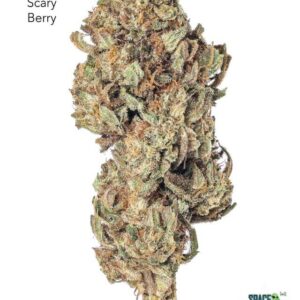 1 OUNCE $30 - SCARY BERRY - A