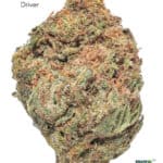 1 OUNCE $30 - SUNDAE DRIVER - A