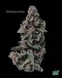 1 OUNCE  - OLD SCHOOL HAZE