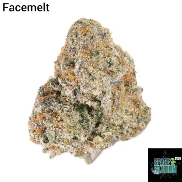 FACEMELT - AAAA