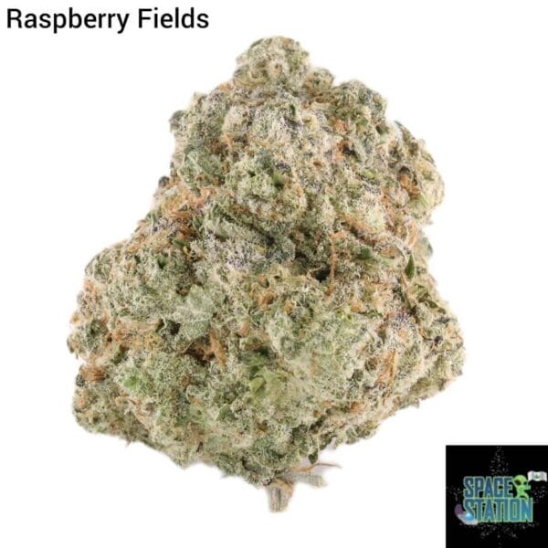 7GRAMS $25 - RASPBERRY FIELDS - AAA