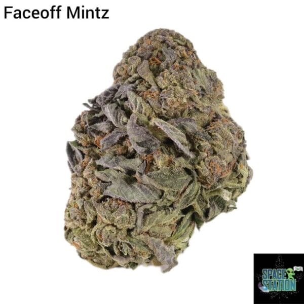 1 OUNCE $40 - FACEOFF MINTZ - A+