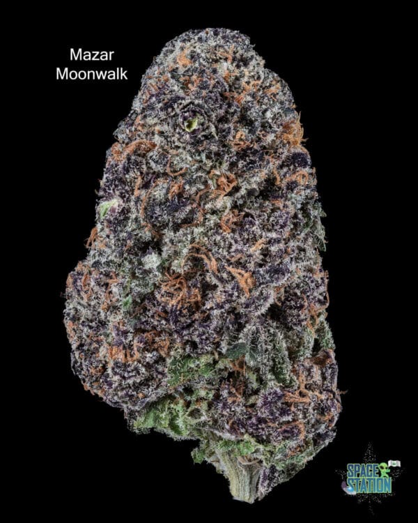 3.5GRAMS $20 - MAZAR MOONWALK - AAA+