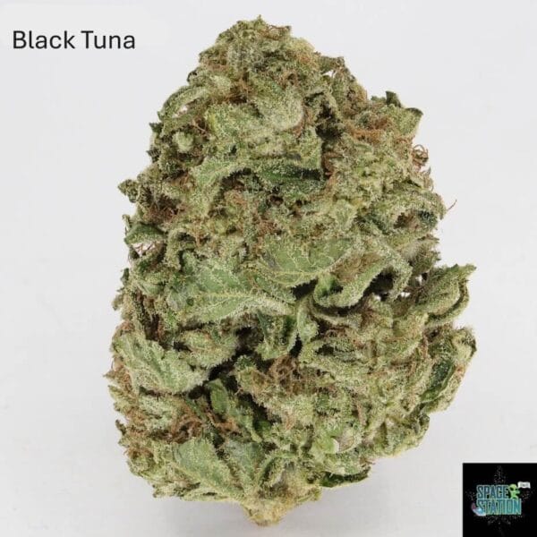 7GRAMS $25 - BLACK TUNA - AAA