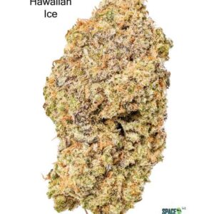 3.5GRAMS $20 - HAWAIIAN ICE - AAA+