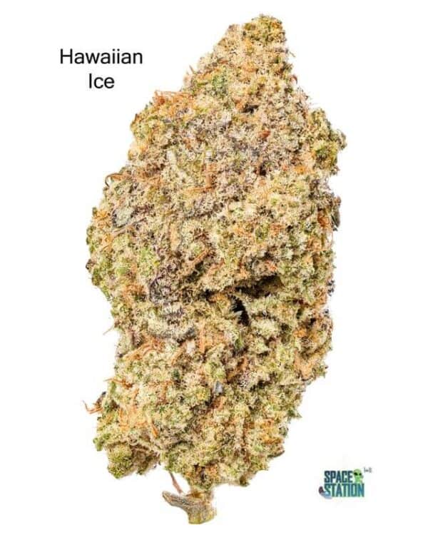 3.5GRAMS $20 - HAWAIIAN ICE - AAA+