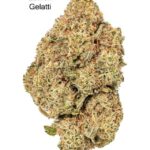 7GRAMS $25 - LEMON GELATTI - AAA