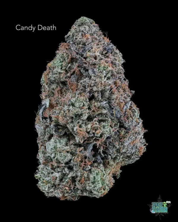 TERPY VIBES - CANDY DEATH - AAAA+