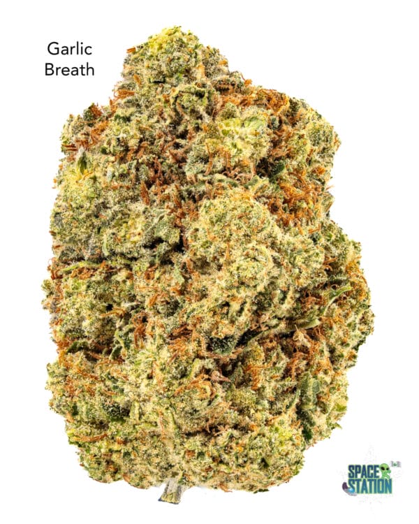 1 OUNCE $90 - 2 OUNCES $150 - GARLIC BREATH - AAA