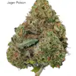 7GRAMS $25 - JAGER POISON - AAA
