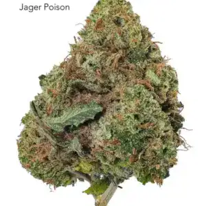 7GRAMS $25 - JAGER POISON - AAA