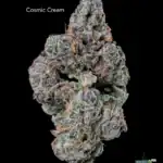1 OUNCE $100 - 2 OUNCES $175 - COSMIC CREAM - AAA