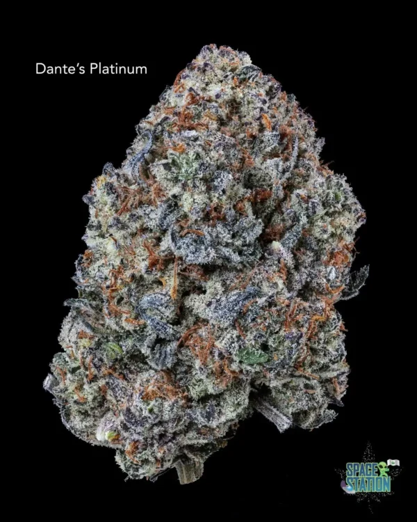 7GRAMS $25 - DANTES PLATINUM - AAA