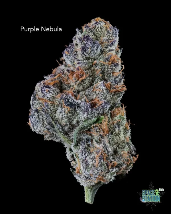 PURPLE NEBULA - AAAA