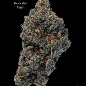 GASTRONAUT CANNABIS - ROCKSTAR KUSH - AAAA