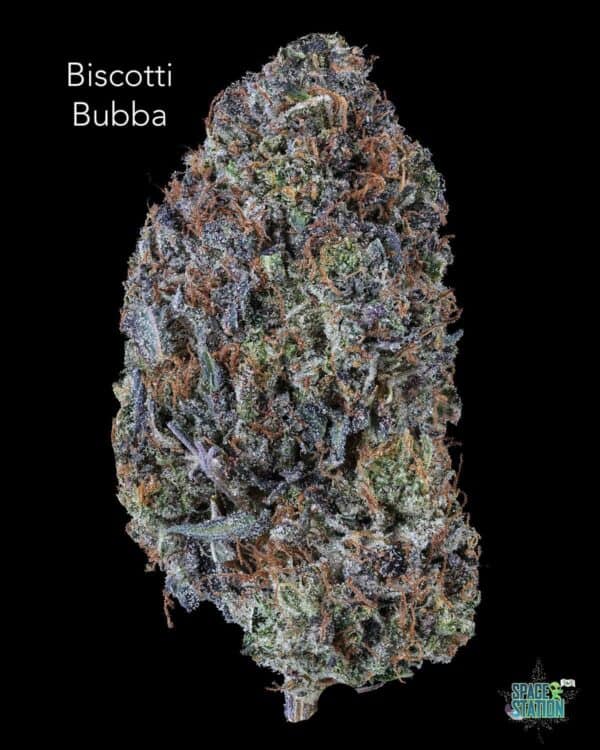 TERPY VIBES - BUBBA BISCOTTI - AAAA+