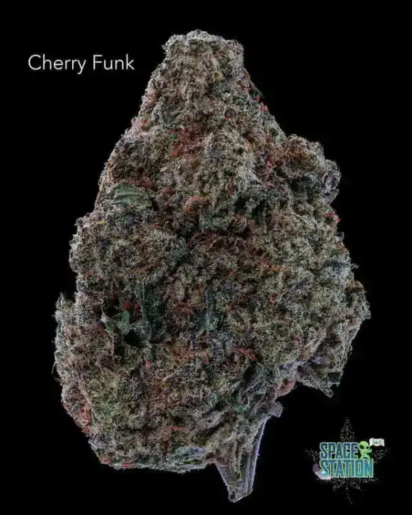 7GRAMS  - CHERRY FUNK - AAA