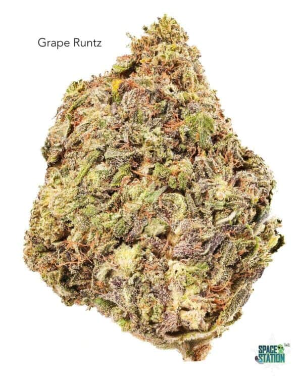 7GRAMS $25 - GRAPE RUNTZ - AAA
