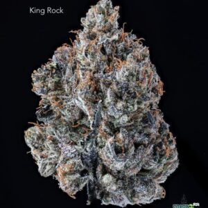 TERPY VIBES - KING ROCK - AAAA+