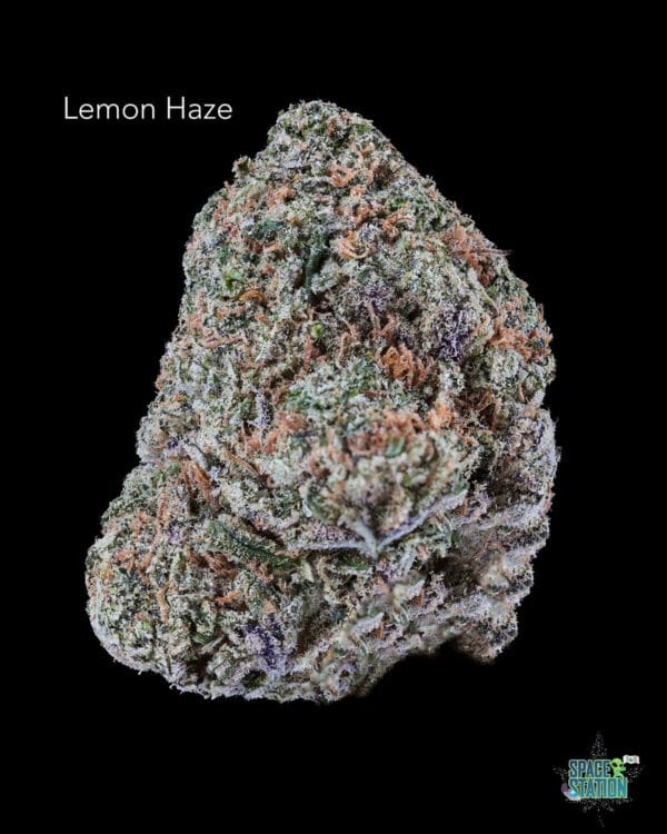 3.5 GRAMS $20 - LEMON HAZE - AAA+