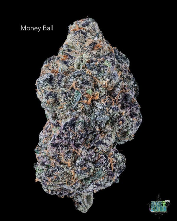 BONZAI BOYZ - MONEYBALL
