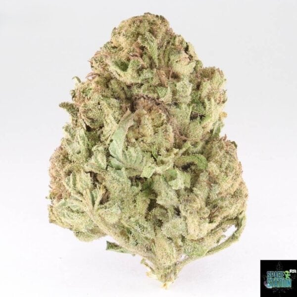 1 OUNCE $60 - 2 OUNCES $100 - PAPAYA - AA
