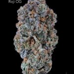 TERPY VIBES - ROJI OG - AAAA+