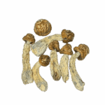 SPACE SPORES MUSHROOMS - TIDAL WAVE - 14GRAMS