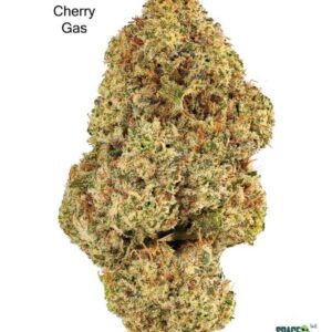 7GRAMS $25 - CHERRY GAS - AAA