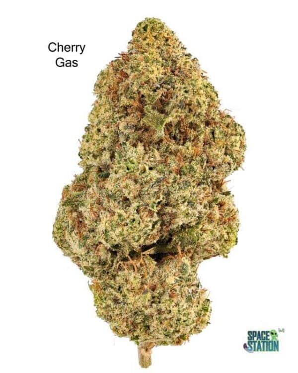 7GRAMS $25 - CHERRY GAS - AAA