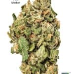 1 OUNCE $75 - 2 OUNCES $125 - PINK MARKER - AA+