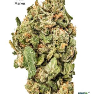 1 OUNCE $75 - 2 OUNCES $125 - PINK MARKER - AA+