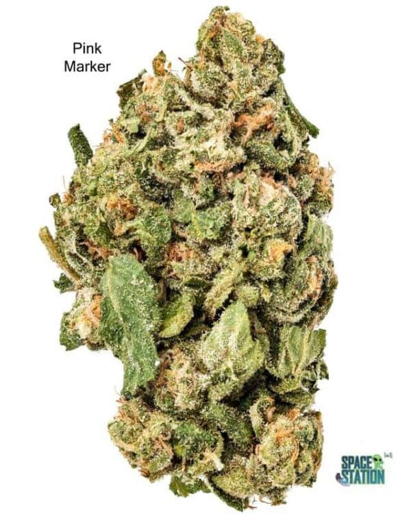 1 OUNCE $75 - 2 OUNCES $125 - PINK MARKER - AA+