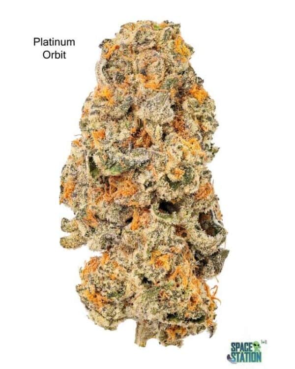 7GRAMS $25 - PLATINUM ORBIT - AAA