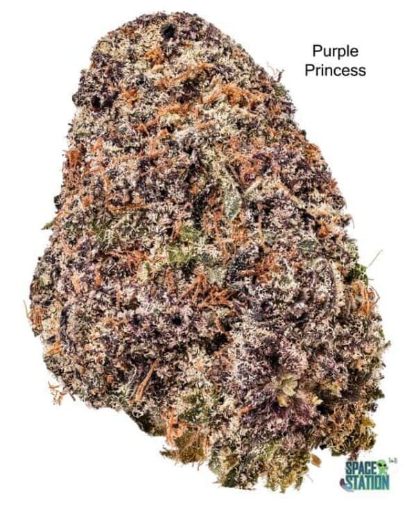 7GRAMS $25 - PURPLE PRINCESS - AAA