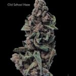 1 OUNCE $30 - OLDSCHOOL HAZE - A