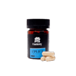 FANTASY PSYCHEDELICS - 4500MG MUSHROOM CAPSULES - BLUE MEANIES - UPLIFT