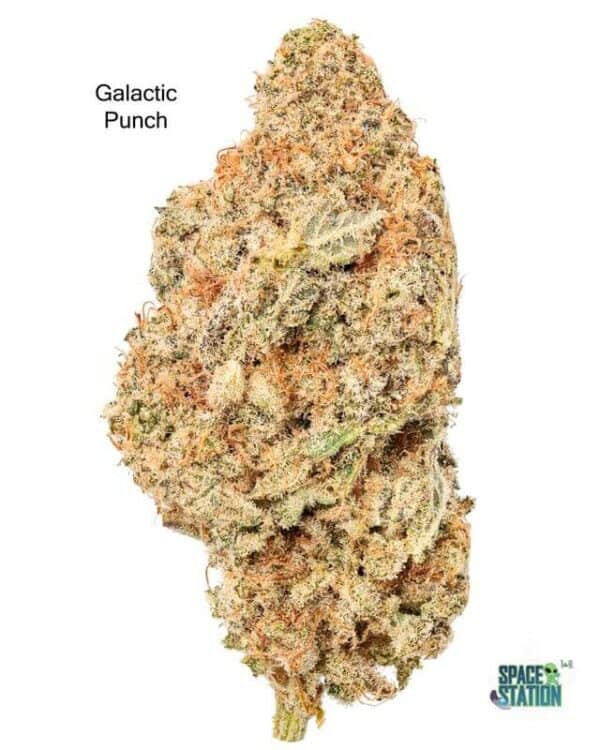 7GRAMS $25 - GALACTIC PUNCH - AAA