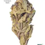 1 OUNCE $30 - GRANDPAS STASH - A