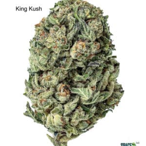 1 OUNCE $60 - 2 OUNCES $100 - KING KUSH - AA